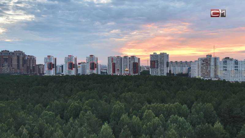 Новости Сургута от 24.06.26
