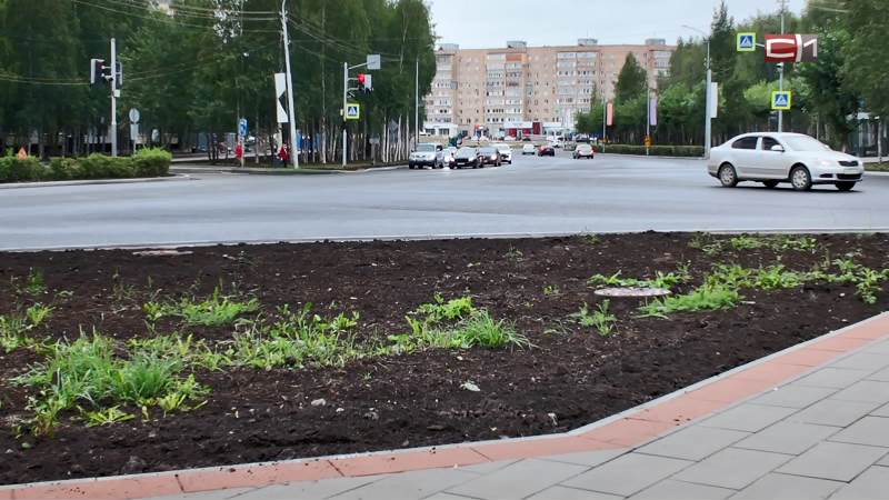 Итоги недели от 14.08.26