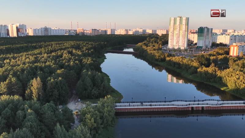 Новости Сургута от 22.10.26