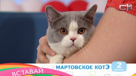 Вставай от 02.03.15