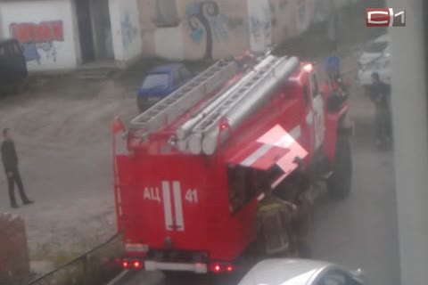 Тушить пожар в мусорном контейнере вызвали пожарных