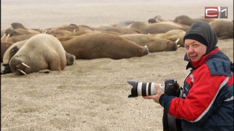 Охладимся? Сургутян ждет выставка работ фотоконкурса Global Arctic Awards