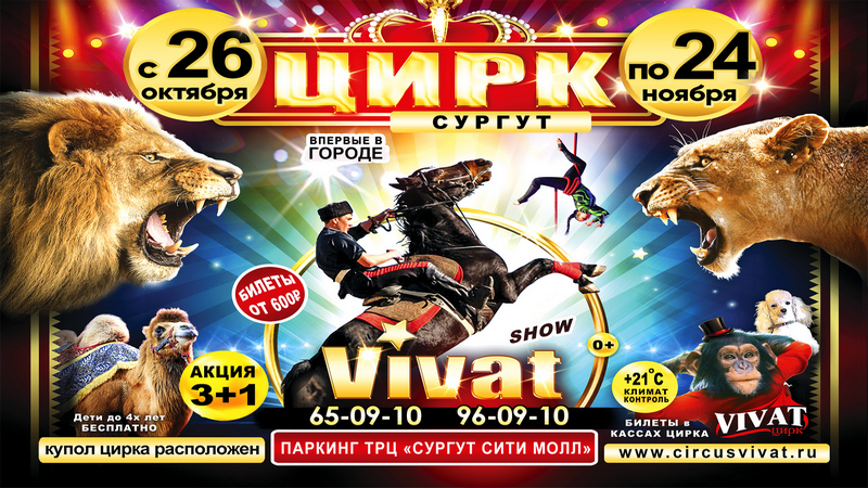 Грандиозное цирковое шоу "Vivat" покорило сердца тысячи зрителей